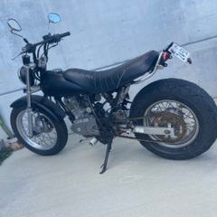 ススギ　バンバン200