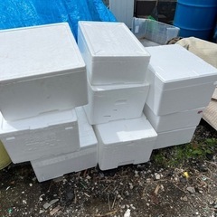 発泡スチロール箱　キレイめ