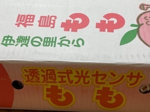 ライカ様予約制　優品　桃　　5kg