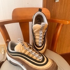 NIKE AIR MAX 靴の画像