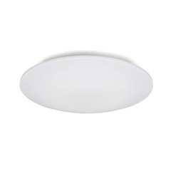 シーリングライト