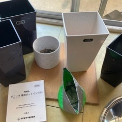 植物　観葉植物　多肉植物　植木鉢　鉢　インテリア　ガーデニング