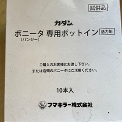 植物　観葉植物　多肉植物　植木鉢　鉢　インテリア　ガーデニングの画像