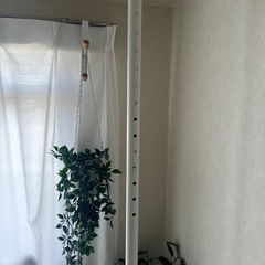 ダイソー　伸縮式縦つっぱりポールの画像