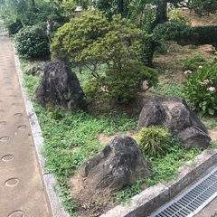 草むしり
