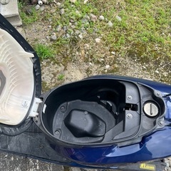 動画あり。保険付き乗って帰れます⭐︎DIO AF62   の画像