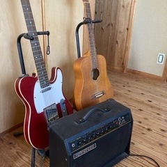 楽器 弦楽器、ギター