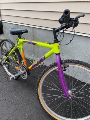 ミヤタリッジランナー