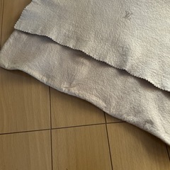 ルイ・ヴィトン　保存袋の画像