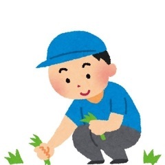 草むしりを致します🌱