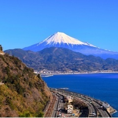 静岡で免許を取りたい人！