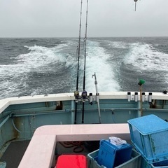マグロ連れてってください😭
