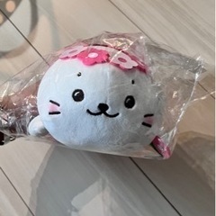 しろたん ぬいぐるみ Mサイズ