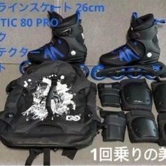 フラッグシップ未開封リンリン