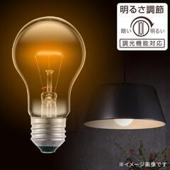 【ほとんど未使用】オーム電気 OHM 長寿命 白熱電球 E26 100W形 クリア [の画像