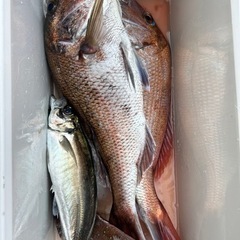 ボートで釣りしませんか？