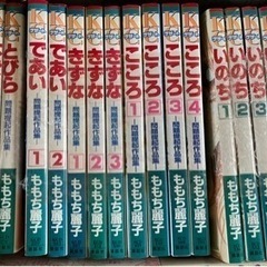 ももち麗子問題提起作品集シリーズセット