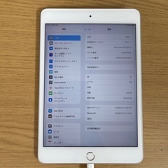 iPad mini5 64gb wifiモデル