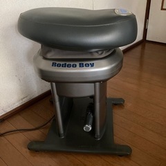 家電 美容家電 ボディケア