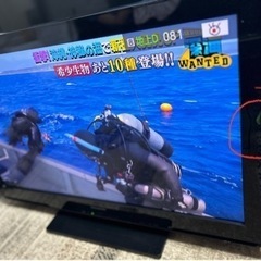 家電 テレビ 液晶テレビの画像