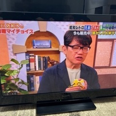 家電 テレビ 液晶テレビ