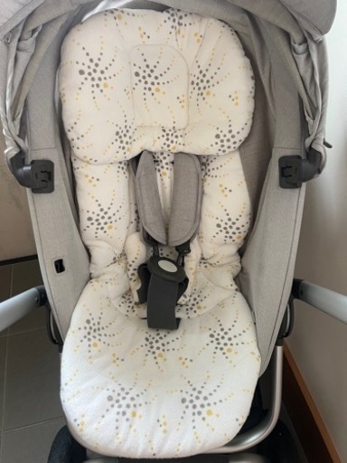 STOKKE ストッケ スクート２