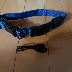 新品　犬用首輪　光る首輪　Mサイズ　ブルー