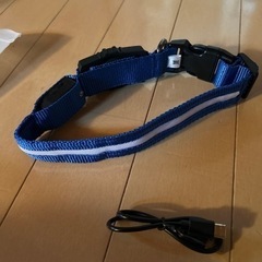 新品　犬用首輪　光る首輪　Mサイズ　ブルーの画像