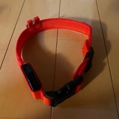 新品　犬用首輪　レッドの画像