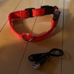 新品　犬用首輪　レッドの画像