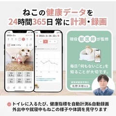 決まりました！の画像
