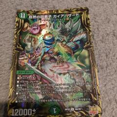 デュエルマスターズトレーディングカード
