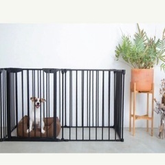 city dog　犬　ゲージ　サークル　黒　の画像