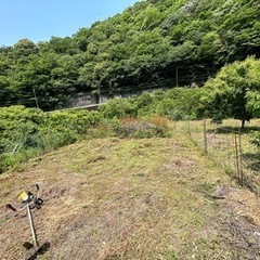 草刈り、剪定作業のお手伝い出来る方募集致しますの画像