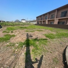 草刈り、剪定作業のお手伝い出来る方募集致しますの画像