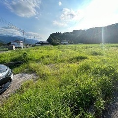 草刈り、剪定作業のお手伝い出来る方募集致しますの画像
