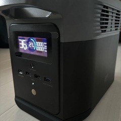  決まりました。エコフロー　DELTA mini 