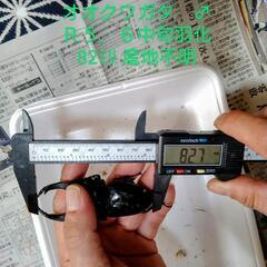 国産オオクワガタ令和5年羽化オス・メスペア値下げしました。