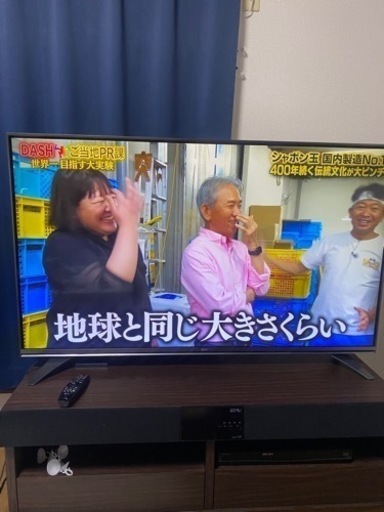 家電 テレビ 液晶テレビ55インチ