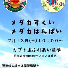 メダカすくい、メダカ販売