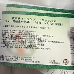 東京サマーランド 七月八日1DayPassチケット