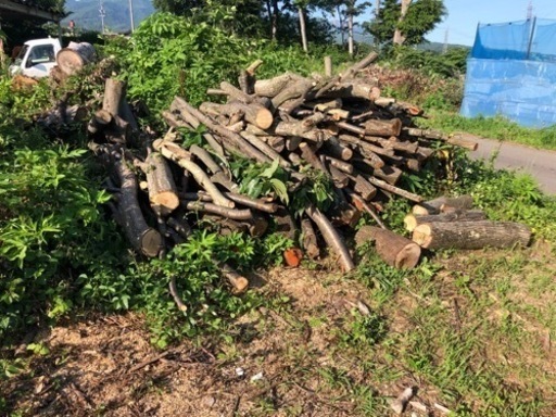 広葉樹ミックス