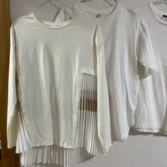 Tシャツの画像