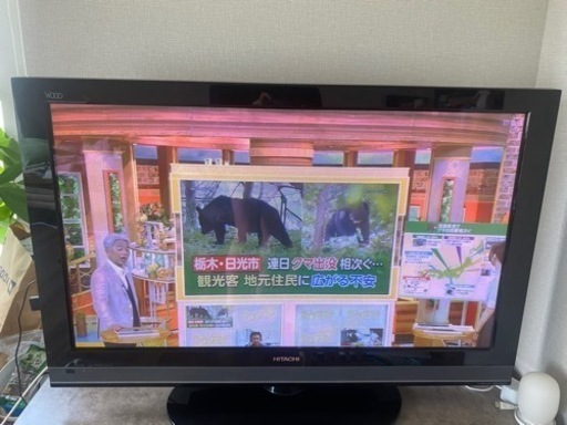 家電 テレビ 液晶テレビ