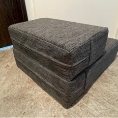 ドッグステップ　ペットステップ　脱臼ケガ防止の画像