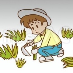 丁寧にお家周り雑草抜き🌱