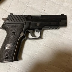 ガスガンP226RAILの画像