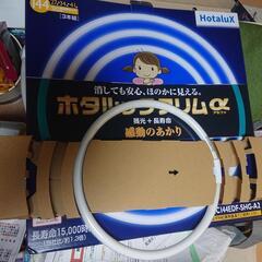 蛍光ランプ