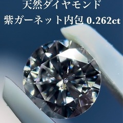 ガーネット内包 天然ダイヤモンド 0.26ct 宝石の内部世界