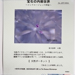 ガーネット内包 天然ダイヤモンド 0.26ct 宝石の内部世界の画像